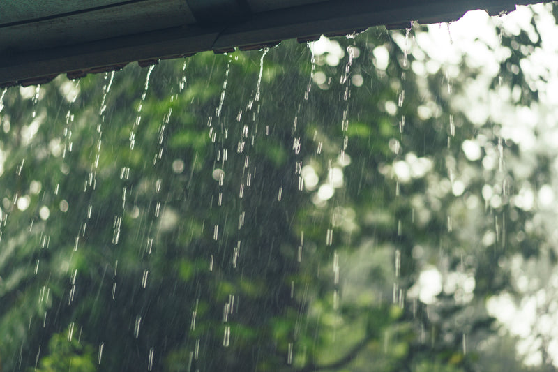 Are Wooden Sheds Waterproof? Understanding Protection & Enhancing Durability