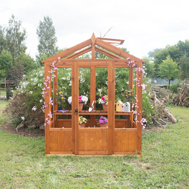 Holkham Greenhouse 6'x4'