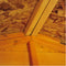 10'x10' Double Door Overlap Shed
